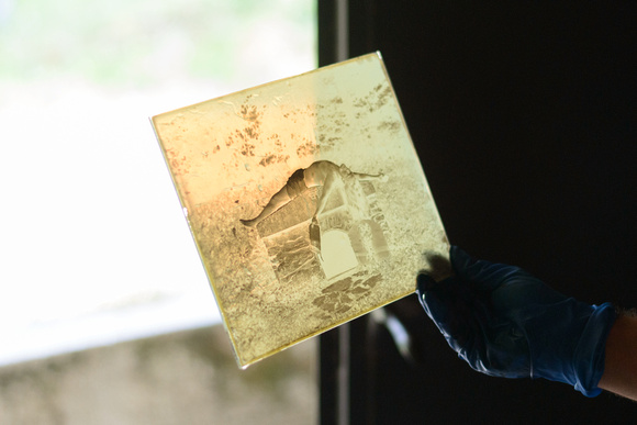 It was done at the Wet Plate Collodion Expedition 2022 in the woodland of Kočevski Rog, Slovenia.